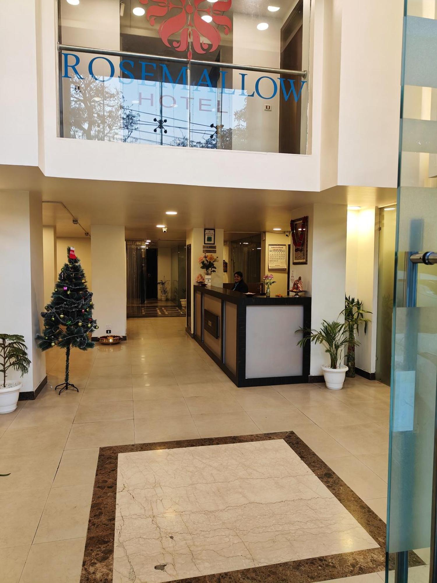 Rosemallow Hotel نيودلهي المظهر الخارجي الصورة